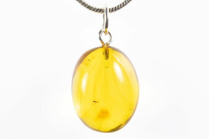 Polished Baltic Amber Pendant (Necklace) - Contains Fly! #312221